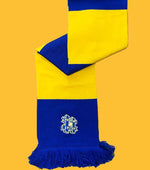 Load image into Gallery viewer, Hashtag United Scarf
